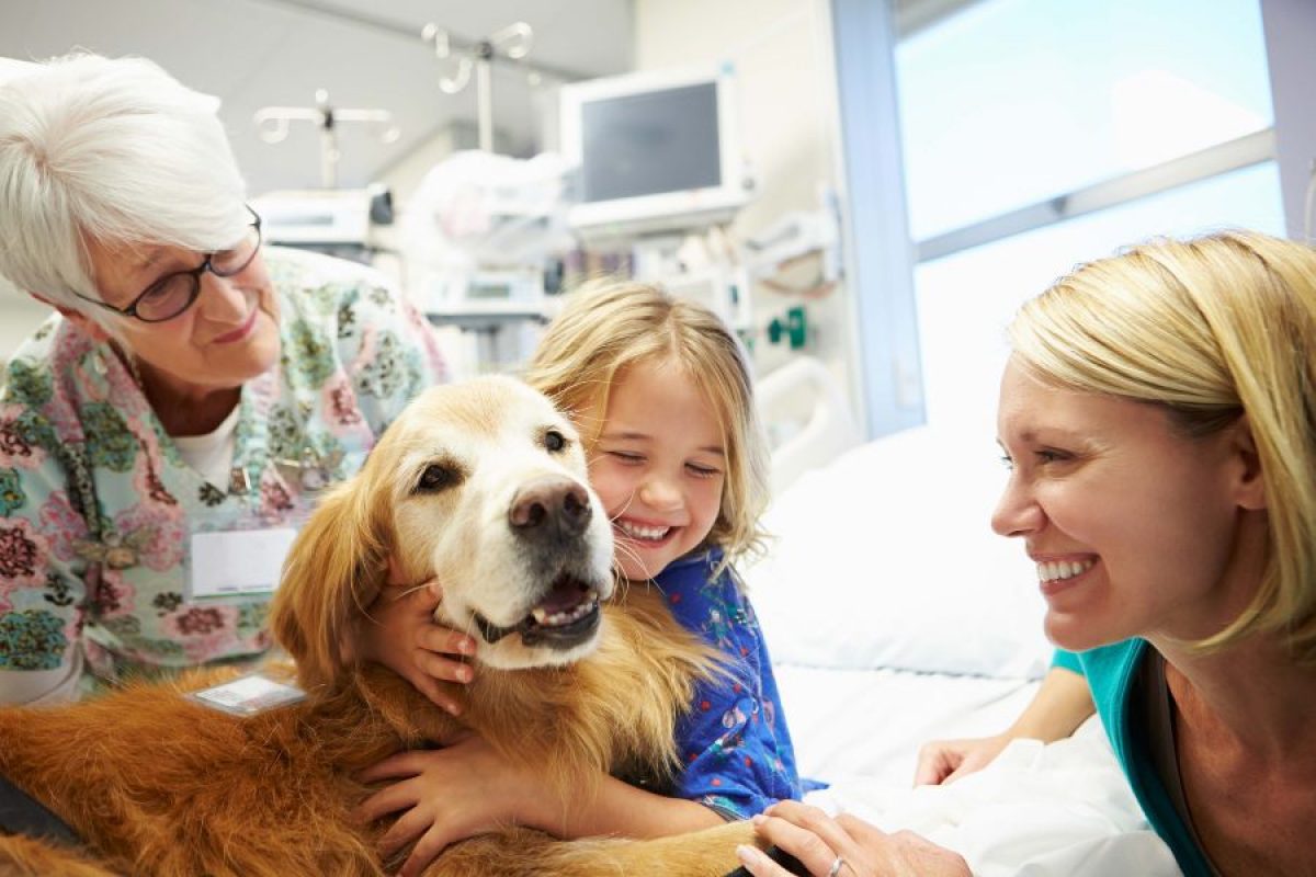 perro de terapia