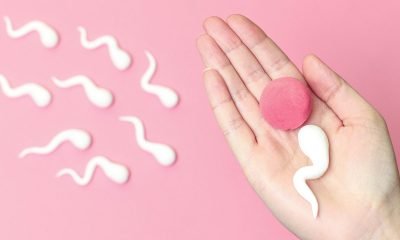 fertilización in vitro