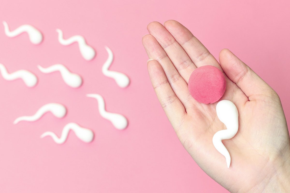 fertilización in vitro