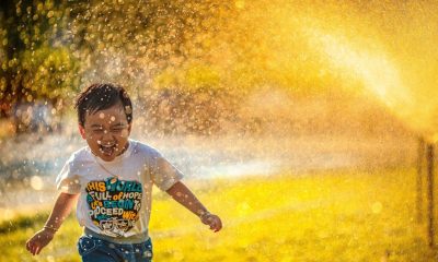 niños orquídea