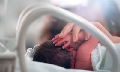 bebes sietemesino o prematuro