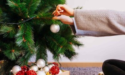 cuando se quita el árbol de navidad