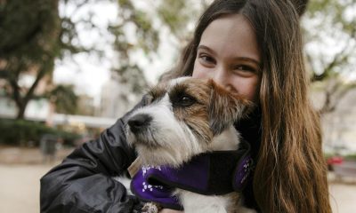perrita de alerta medica