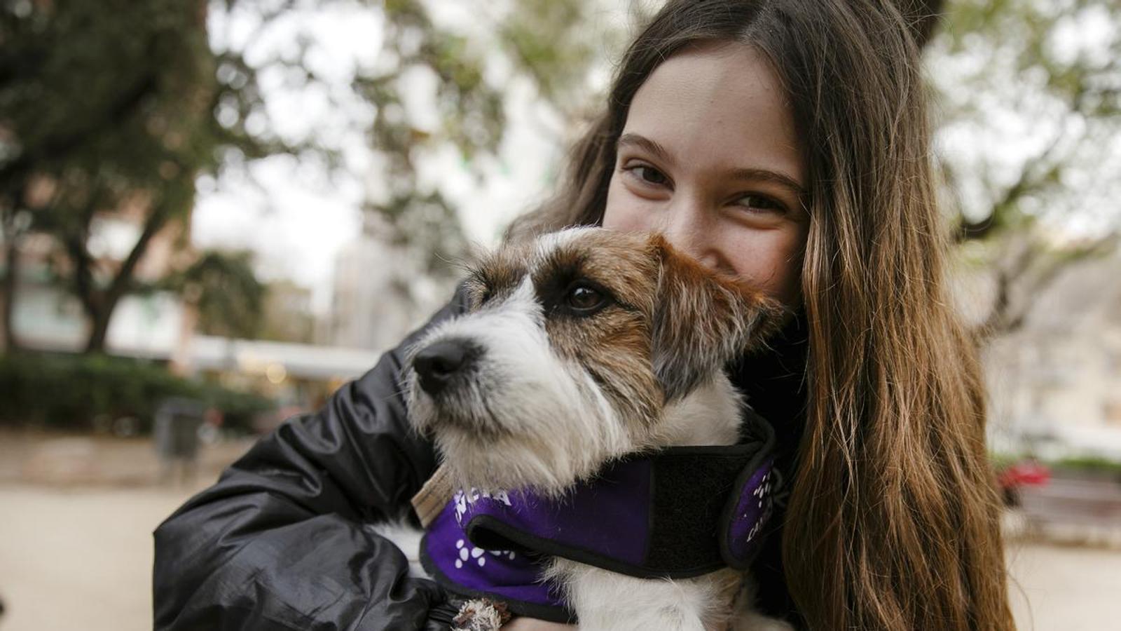 perrita de alerta medica