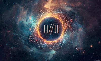 portal 11/11